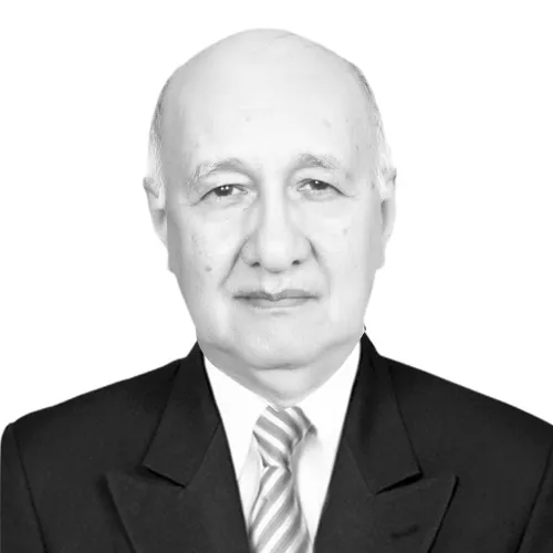 Imagen del artículo