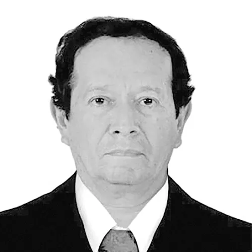 Imagen del artículo