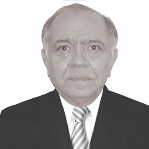 Imagen del artículo