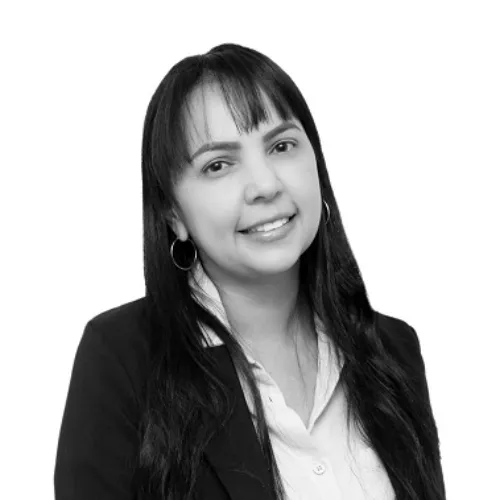 Imagen del artículo