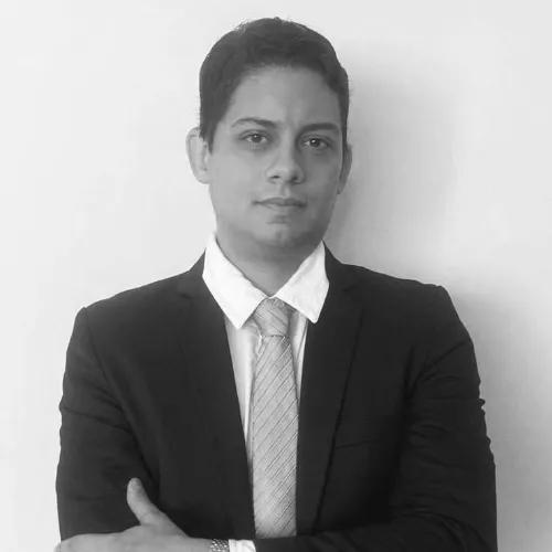 Imagen del artículo