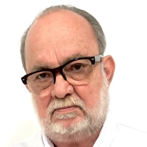 Imagen del artículo