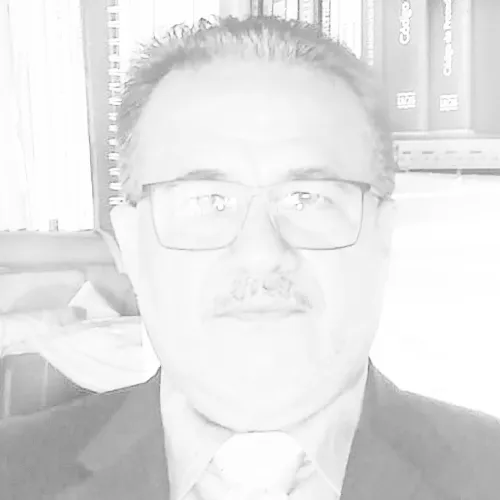Imagen del artículo