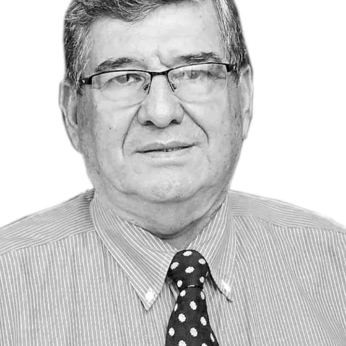 Imagen del artículo