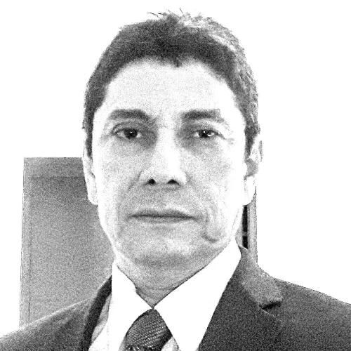 Imagen del artículo