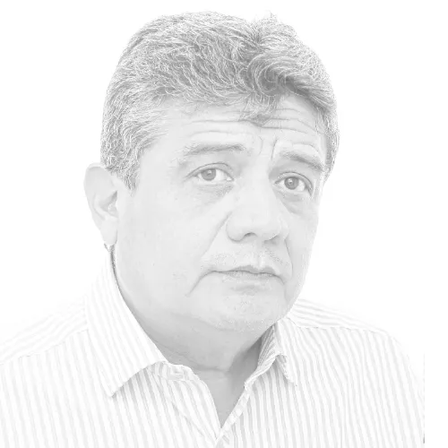 Imagen del artículo
