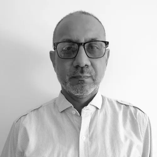 Imagen del artículo