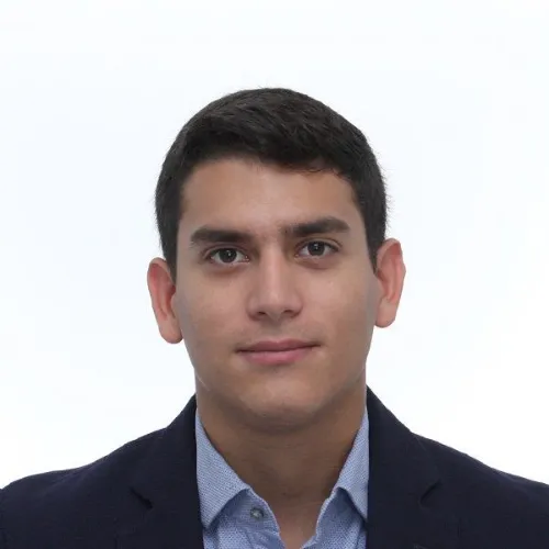 Imagen del artículo