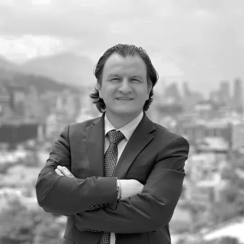 Imagen del artículo