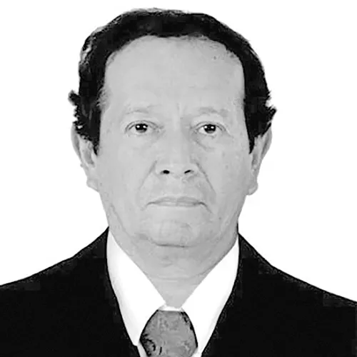 Imagen del artículo
