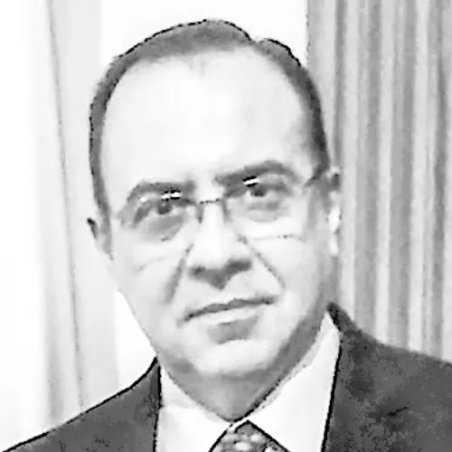 Imagen del artículo