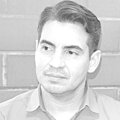 Imagen del artículo