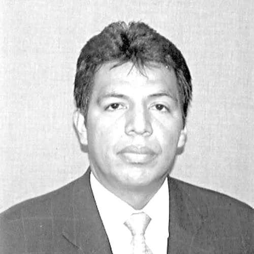 Imagen del artículo