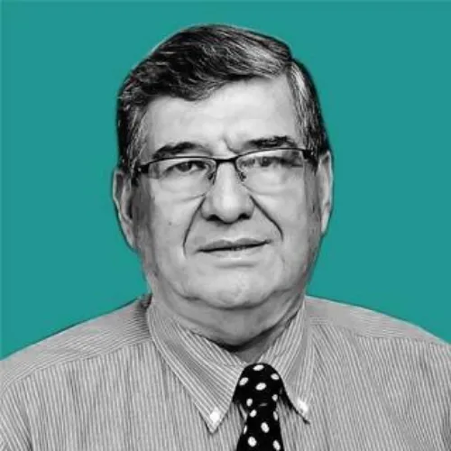 Imagen del artículo