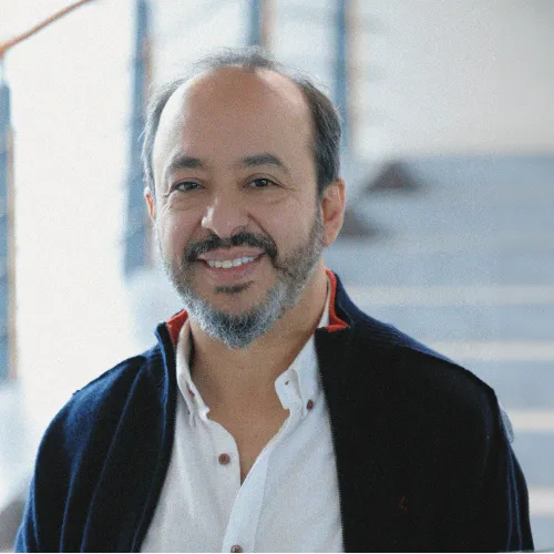 Imagen del artículo