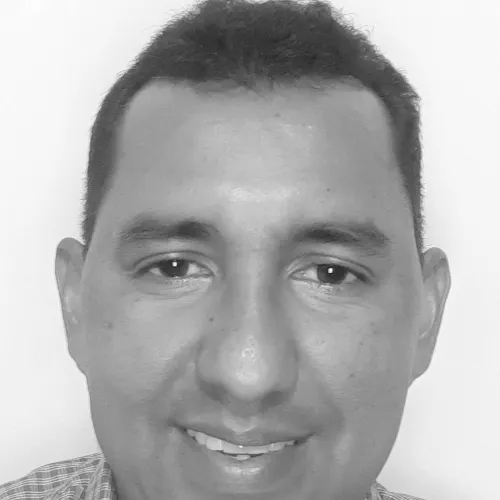 Imagen del artículo