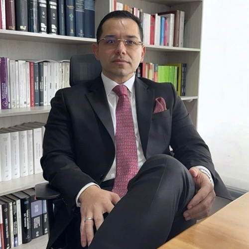 Imagen del artículo