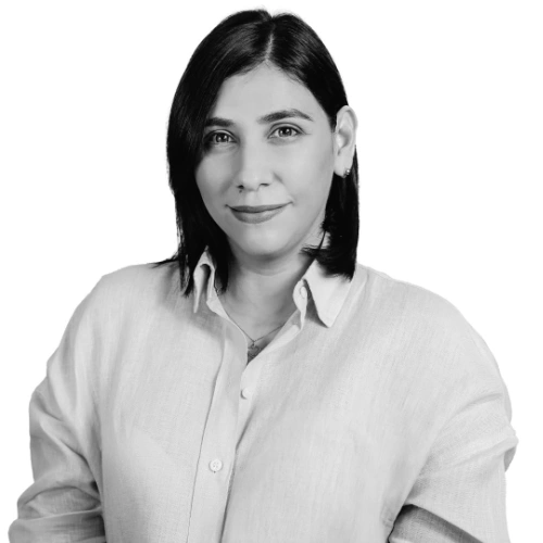 Imagen del artículo