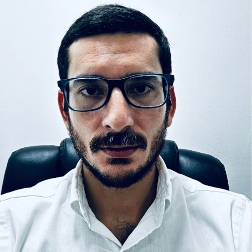 Imagen del artículo