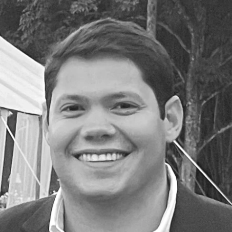 Imagen del artículo