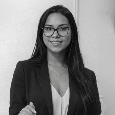Imagen del artículo