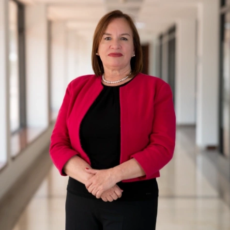 Imagen del artículo