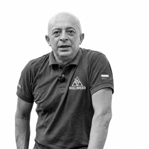 Imagen del artículo
