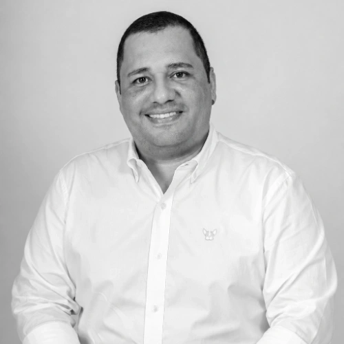 Imagen del artículo