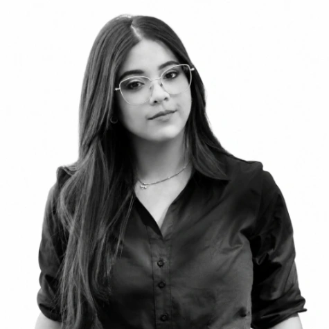 Imagen del artículo
