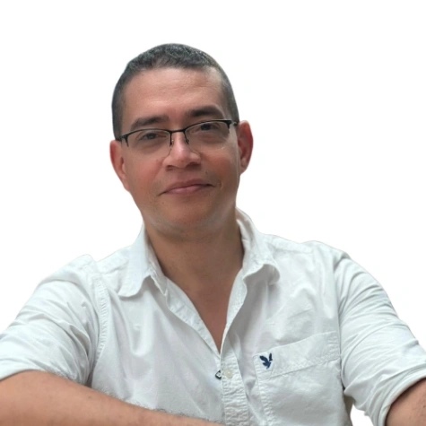 Imagen del artículo