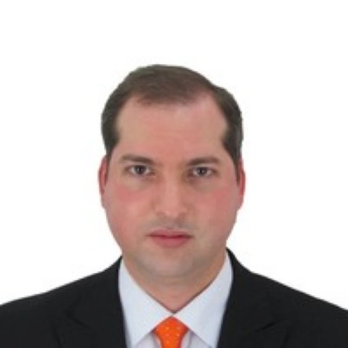 Imagen del artículo