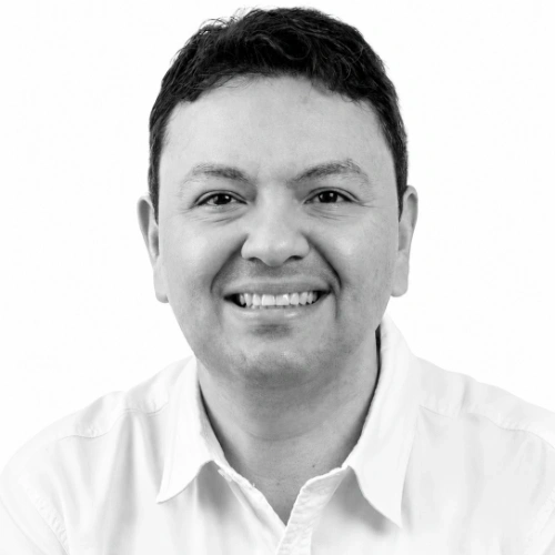 Imagen del artículo
