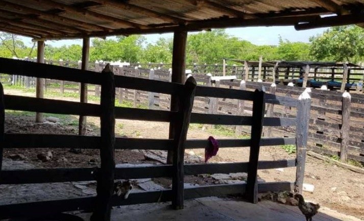 Hallan cuerpo sin vida de un hombre en zona rural de Ayapel