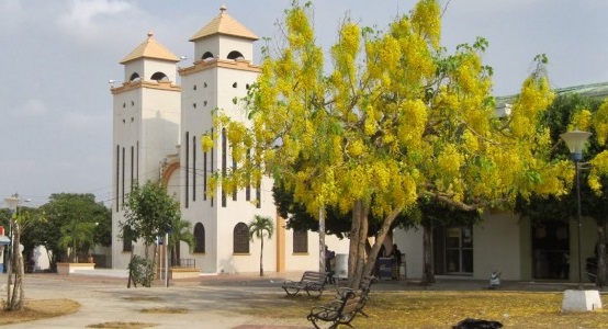 Le sacrificaron 33 carneros