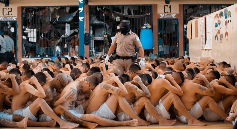 "Fueron asesinados por el régimen"