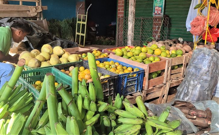 Radiografía de precios de los alimentos en Sincelejo