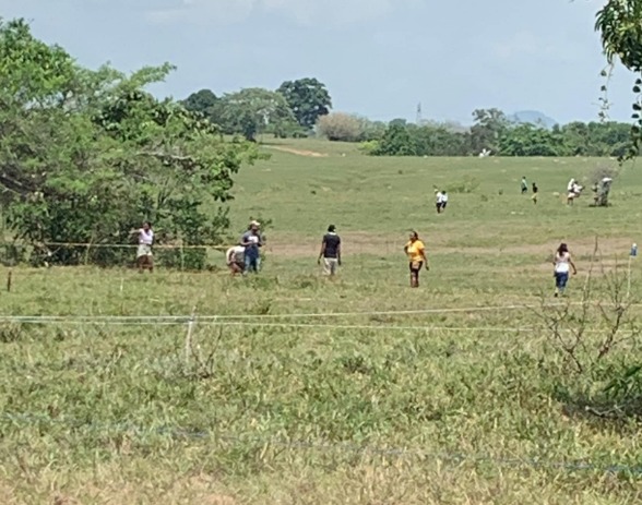 Fueron desalojados por invadir predios