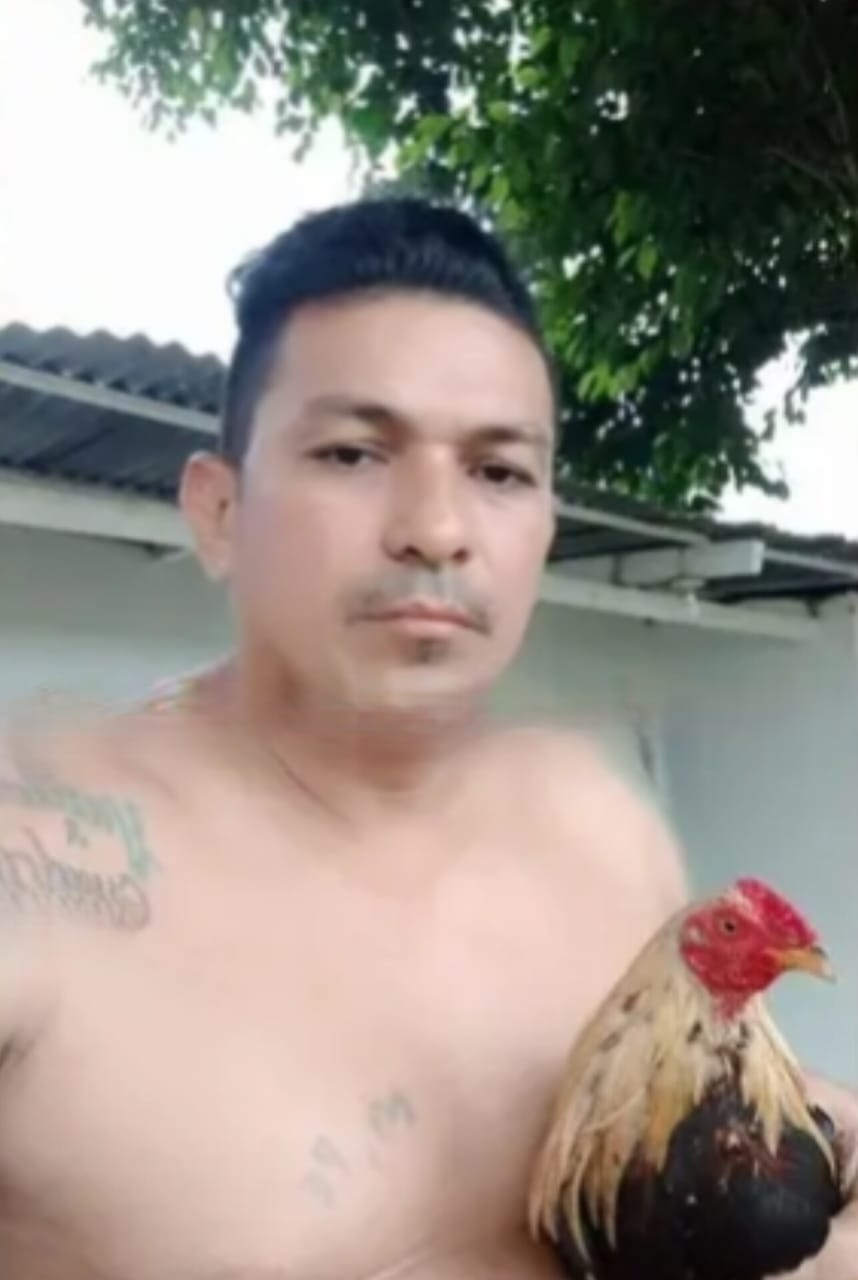 Lo mataron en una gallera