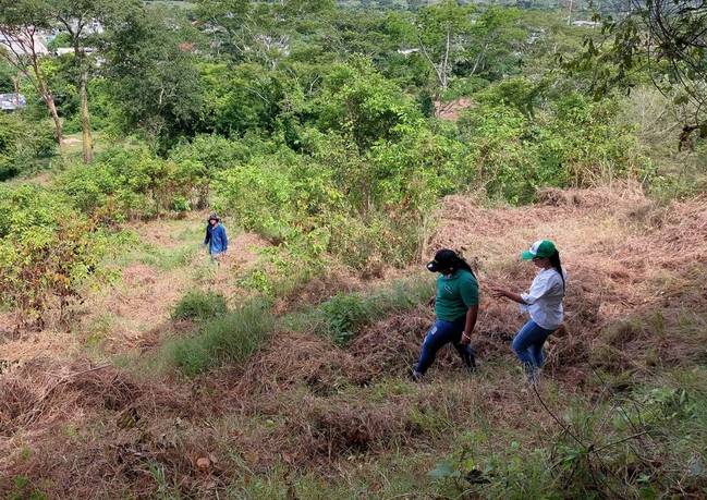 Supervisan proyecto en el Cerro Colosiná