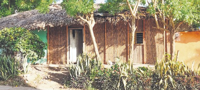 Casas vernáculas, sobrevivientes en la era moderna