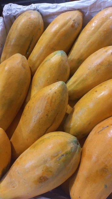 Por reducción del precio de la papaya, más de 4 mil toneladas se han dejado de comercializar