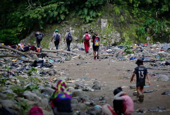 Selva de Darién: Procuraduría pide acciones del Gobierno para recuperar el daño ambiental