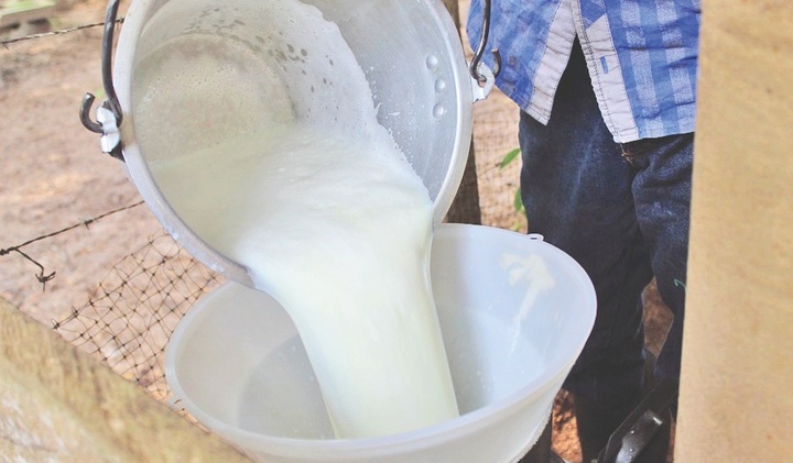 Pagaron mejor leche sin bonificación