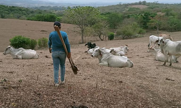Con documentación falsa se aprovecharían de propietarios