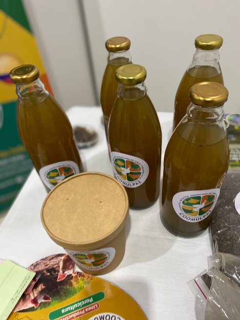 Firmantes de paz trabajan en producción porcícola y abonos orgánicos