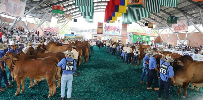 Presentes en Feria Nacional Cebú