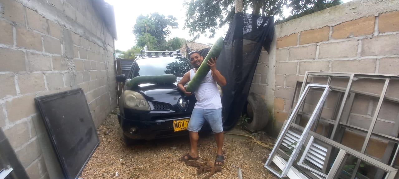 Pepino pesó 19.5 libras
