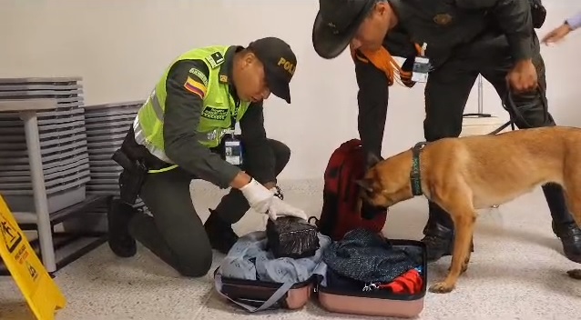 Incautan 37 kilos de droga en Los Garzones