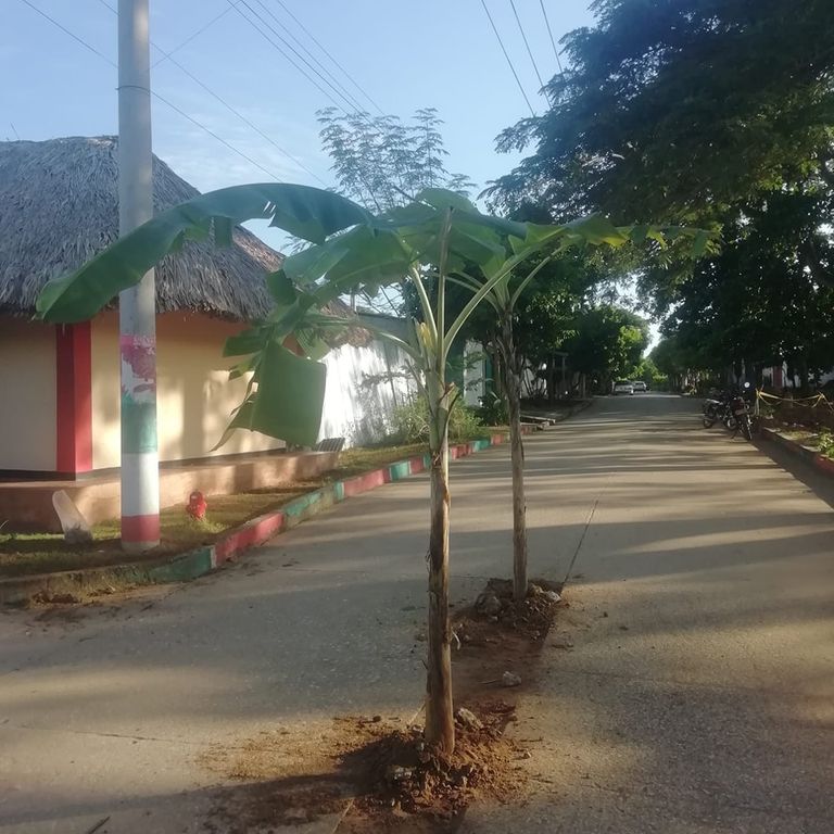 Así están algunas calles de la 'Ciudad Cultural'