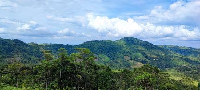 Córdoba es el primer territorio en el que se adelanta proceso de restitución de tierras en zona de protección ambiental